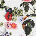 Tissu Broderie Suisse Feuille Blanc - Ribes y Casals