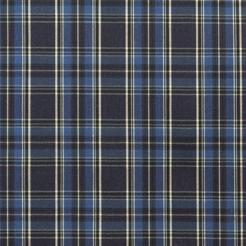 Tissu Chemise à Carreaux Bleu Bicolor - Ribes y Casals