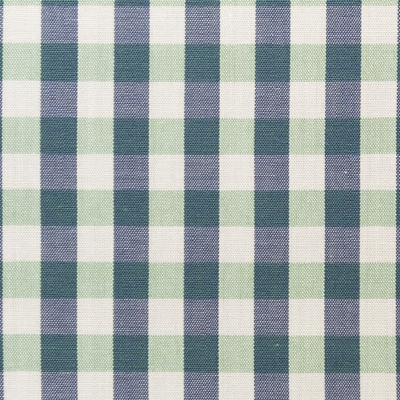 Tissu Chemise à Petits Carreaux Vert - Ribes y Casals