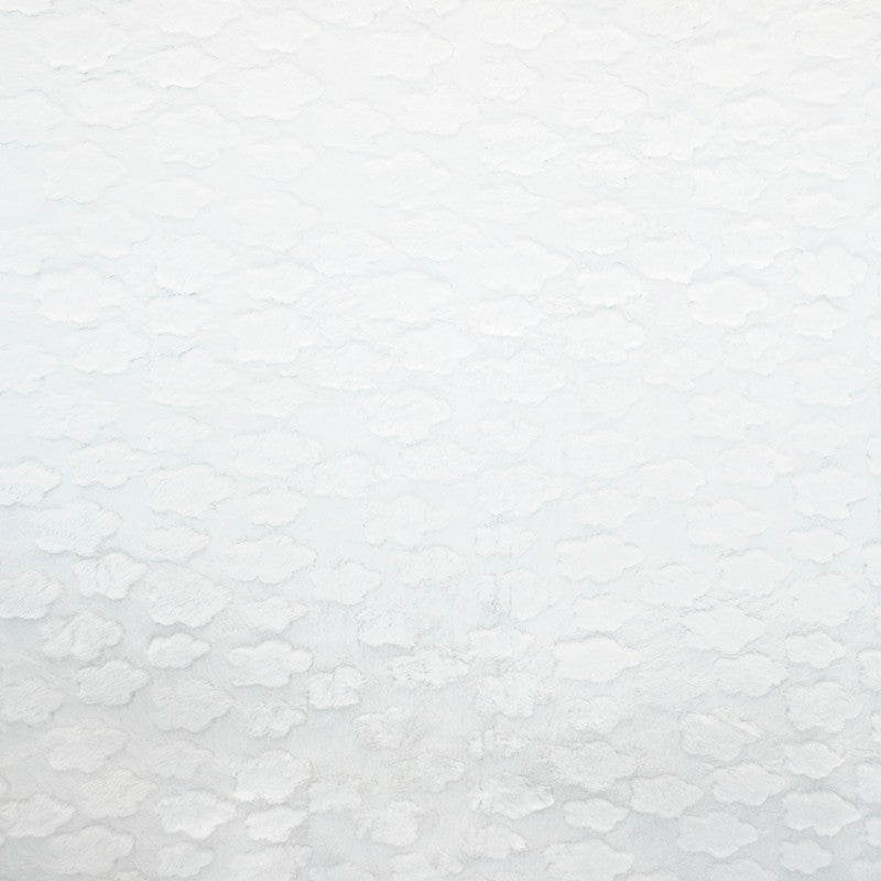 Minky Baleine Fond Bleu - Ribes y Casals