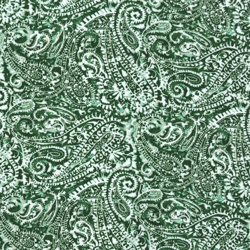 Crêpe Imprimé Cachemire Degradé Vert - Ribes y Casals