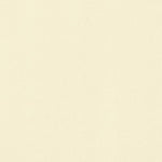 Tissu Crêpe Mousseline Écru - Ribes y Casals