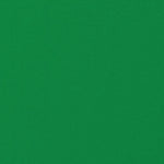 Mousseline de Polyester Vert Pomme - Ribes y Casals