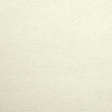 Similicuir de couleur écru - Ribes y Casals