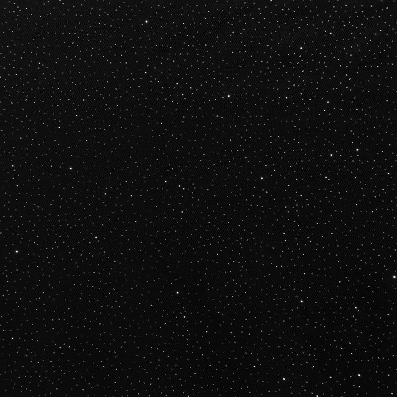 Tulle Brillant Noir - Ribes y Casals