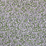 Tissu Imprimé Coton Fleur Mauve - Ribes y Casals