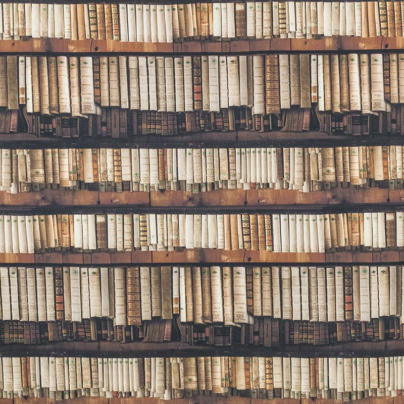 Tissu Imprimé Coton Livres Marron - Ribes y Casals