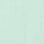 Tissu Georgette Vert d&#39;Eau - Ribes y Casals