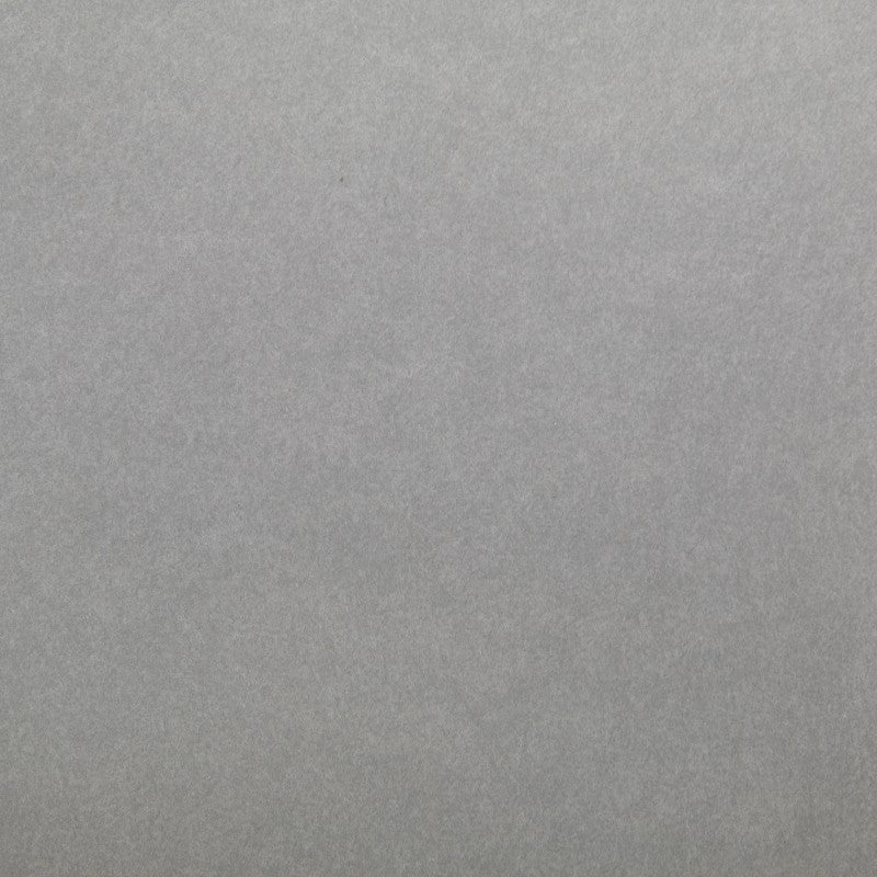 Tissu Kraft Tex Gris - Ribes y Casals