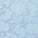 Toile Jacquard Bleu Ciel - Ribes y Casals
