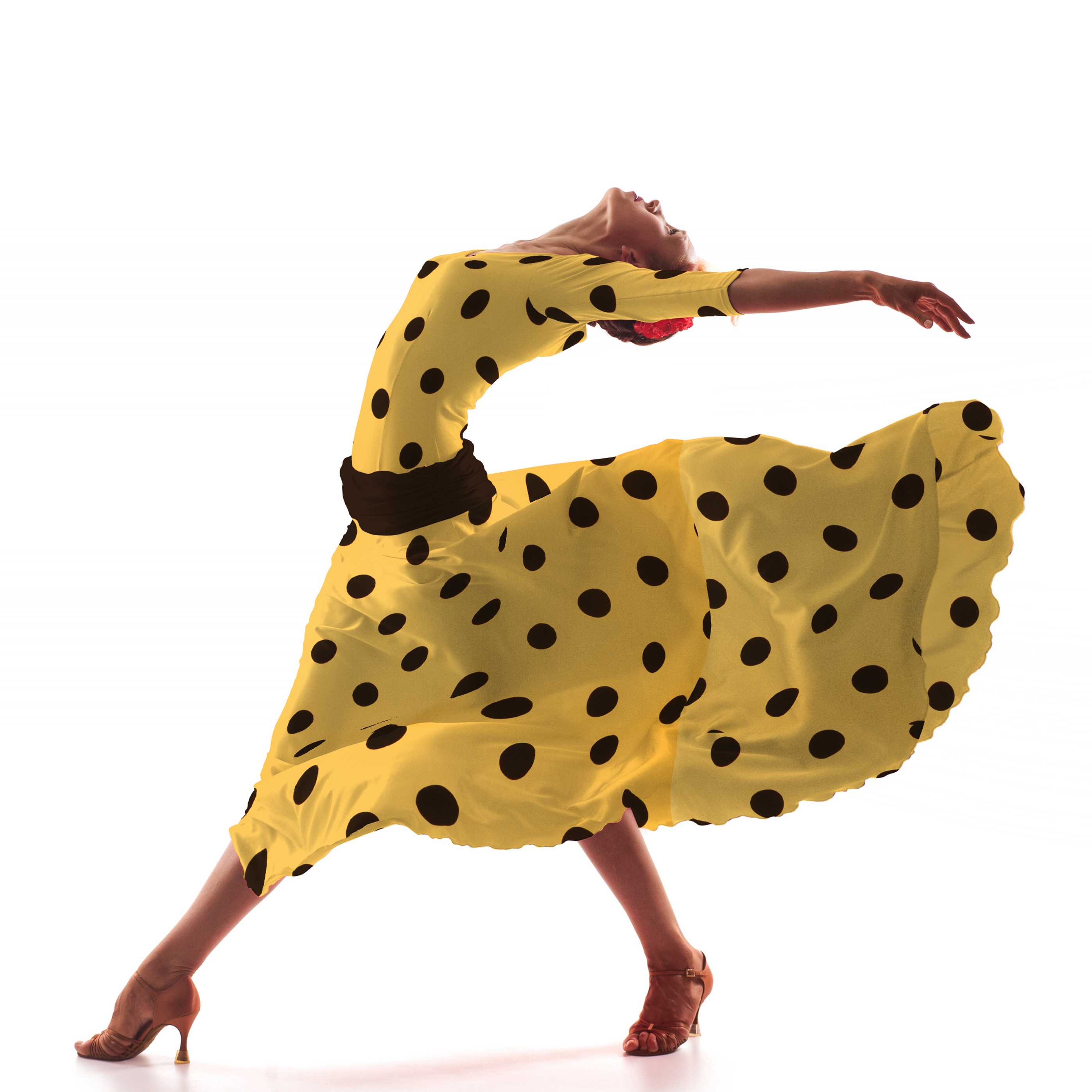 Tissu Pois Noir 55mm Jaune Albero - Ribes y Casals