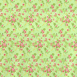 Lycra Imprimé Fleuri Fond Pistache - Ribes y Casals
