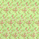 Lycra Imprimé Fleuri Fond Pistache - Ribes y Casals