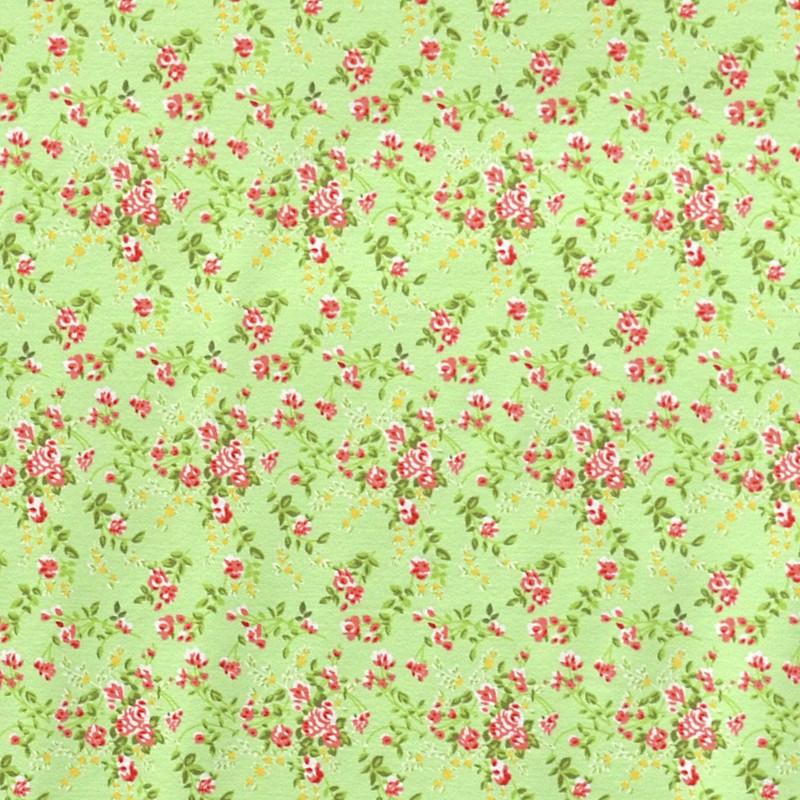Lycra Imprimé Fleuri Fond Pistache - Ribes y Casals