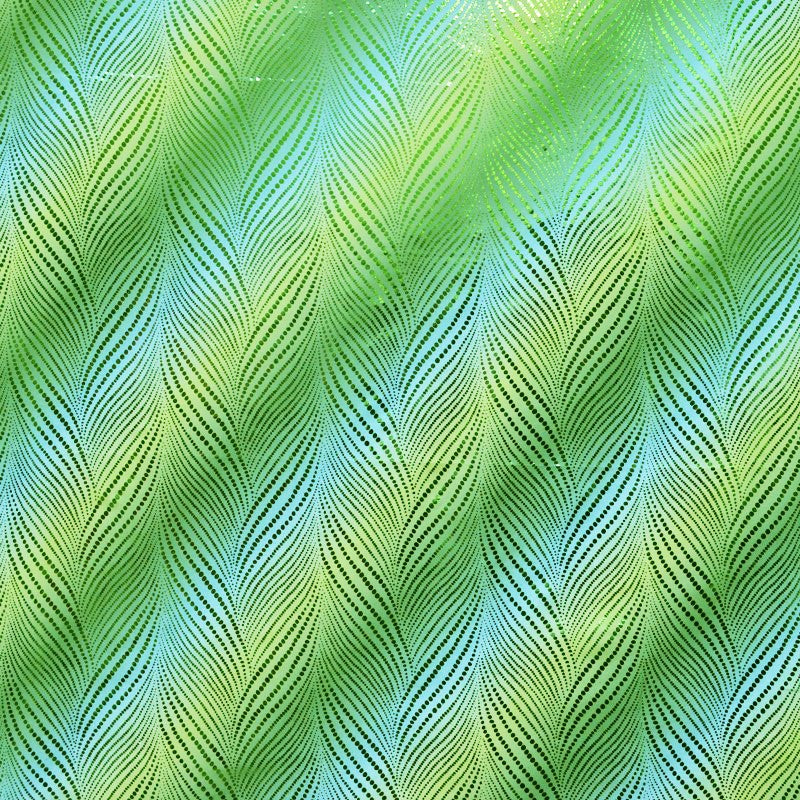 Lycra Holographe Pointillés Noir - Ribes y Casals