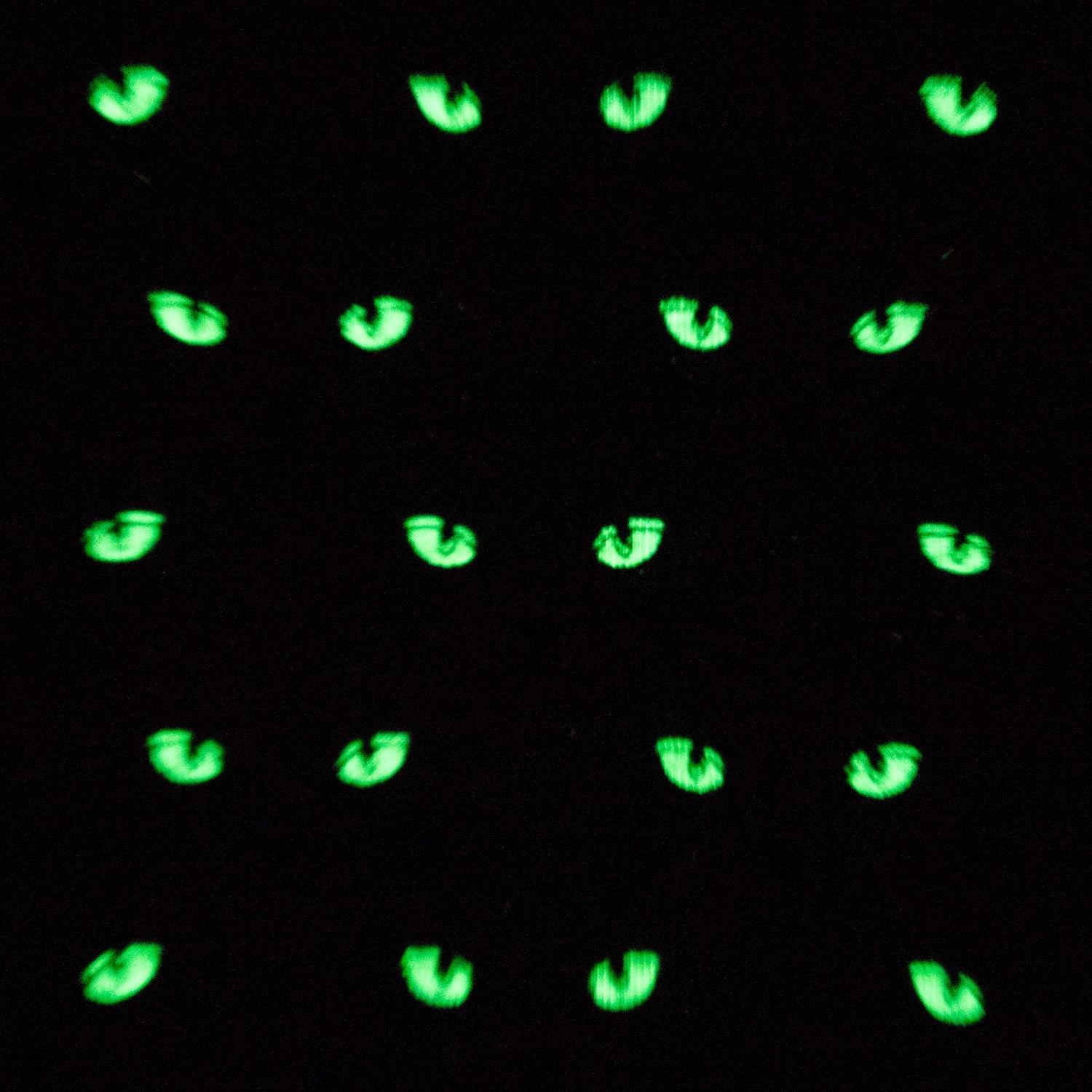 Tissu Magique Chats Gris - Ribes y Casals