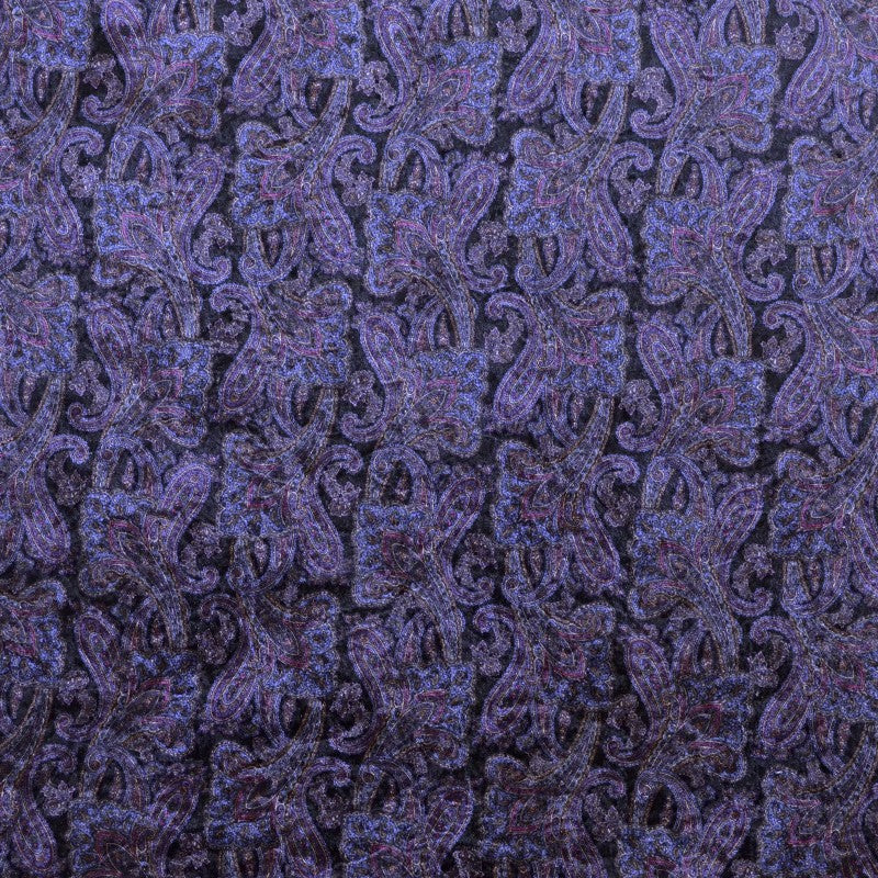 Panne de Velours Imprimée Paisley Noir - Ribes y Casals