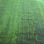 Tissu Nacré Vert - Ribes y Casals