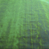 Tissu Nacré Vert - Ribes y Casals