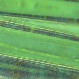 Tissu Nacré Vert - Ribes y Casals