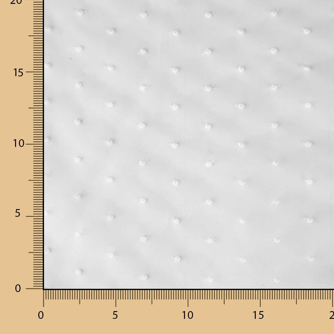 Organza Plumeti Broderie Blanc - Ribes y Casals