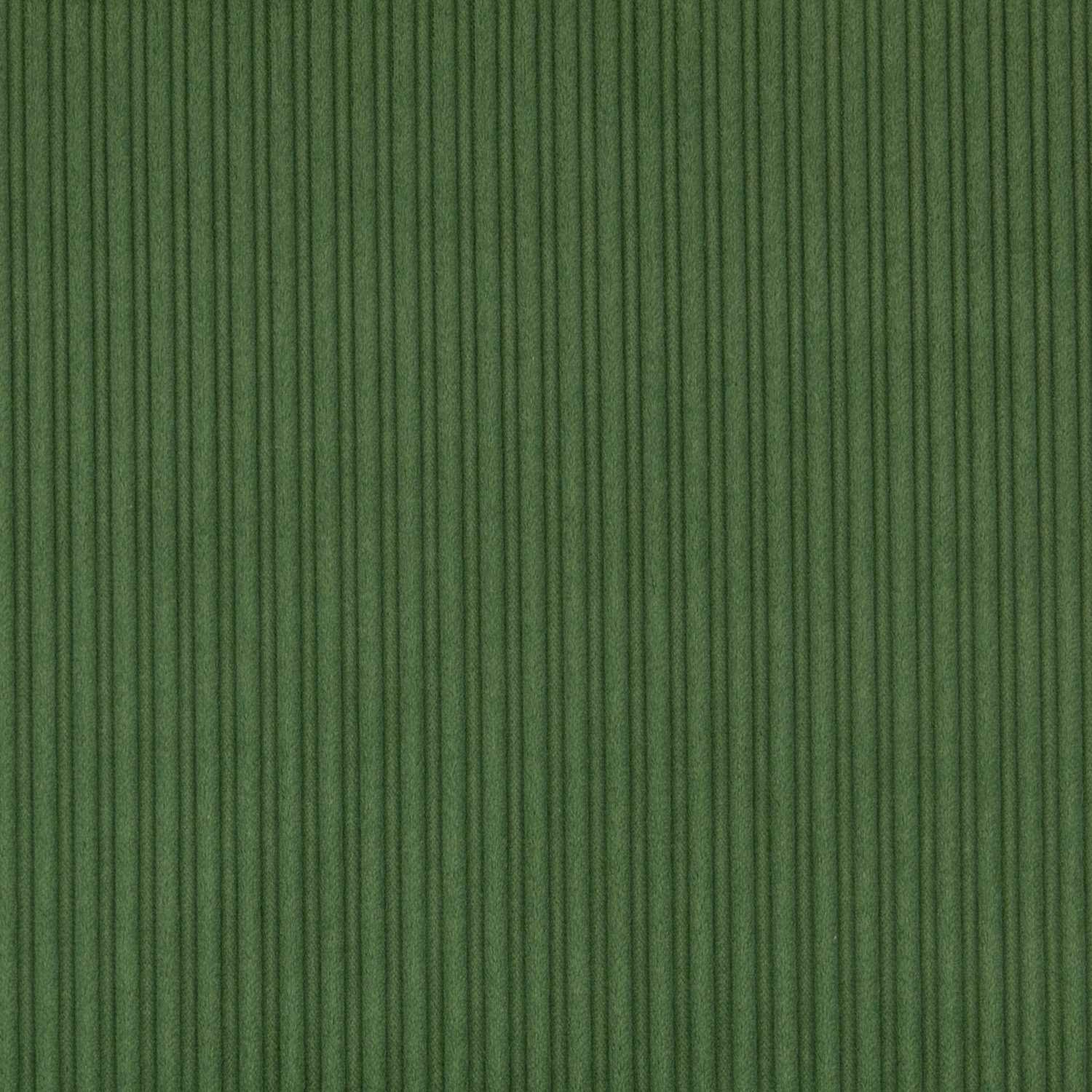 Velours Grosses Côtes Vert - Ribes y Casals