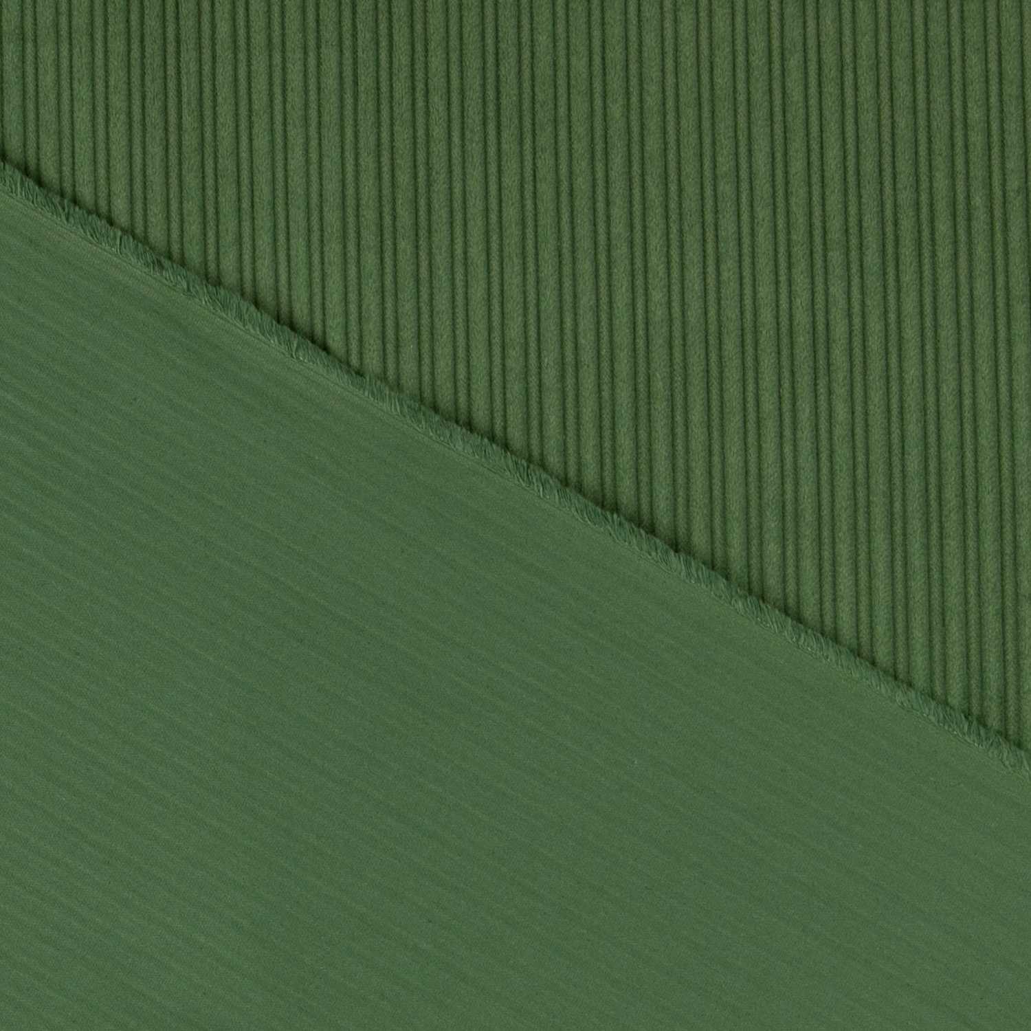 Velours Grosses Côtes Vert - Ribes y Casals