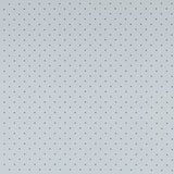 Panne de Velours Pois Green Mint - Ribes y Casals