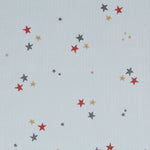 Panne de Velours Étoiles Vert Menthe - Ribes y Casals