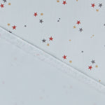 Panne de Velours Étoiles Vert Menthe - Ribes y Casals