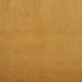 Velours Côtelé Camel - Ribes y Casals