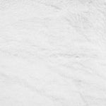 Poil Court Blanc - Ribes y Casals