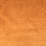 Poil Court Camel - Ribes y Casals