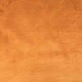 Poil Court Camel - Ribes y Casals