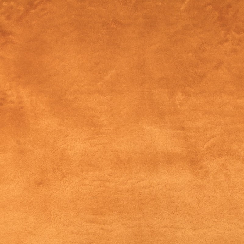 Poil Court Camel - Ribes y Casals