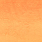 Poil Court Orange - Ribes y Casals