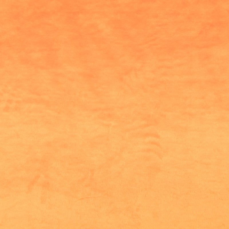 Poil Court Orange - Ribes y Casals