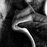 Poil Court Noir - Ribes y Casals