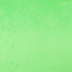 Poil Court Vert Clair - Ribes y Casals