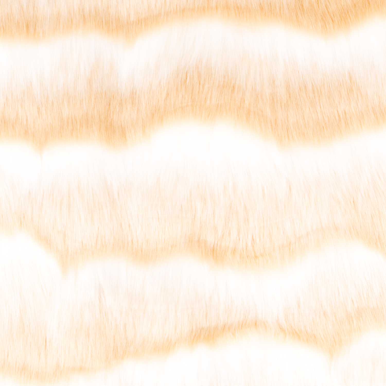 Tissu Poil Crème Bicolore - Ribes y Casals