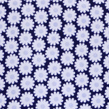 Piqué Marguerites Bleu Marine - Ribes y Casals