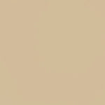 Tissu Polyester Beige - Ribes y Casals