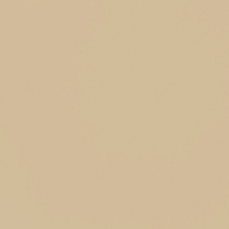 Tissu Polyester Beige - Ribes y Casals