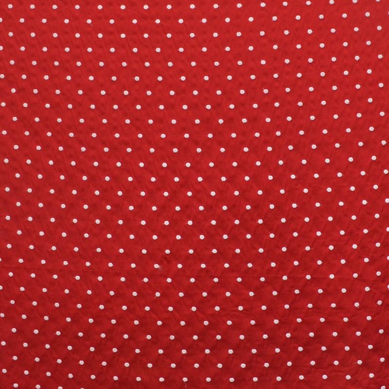 Popeline à Pois Brodée Rouge - Ribes y Casals