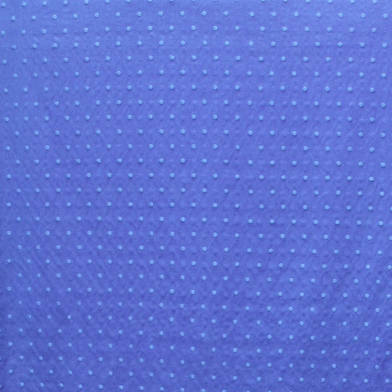 Popeline à Pois Brodée Ton sur Ton Bleu Jean - Ribes y Casals