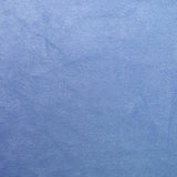 Minky Élastique Bleu Ciel - Ribes y Casals