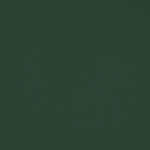 Tissu Jersey Viscose Vert Bouteille - Ribes y Casals