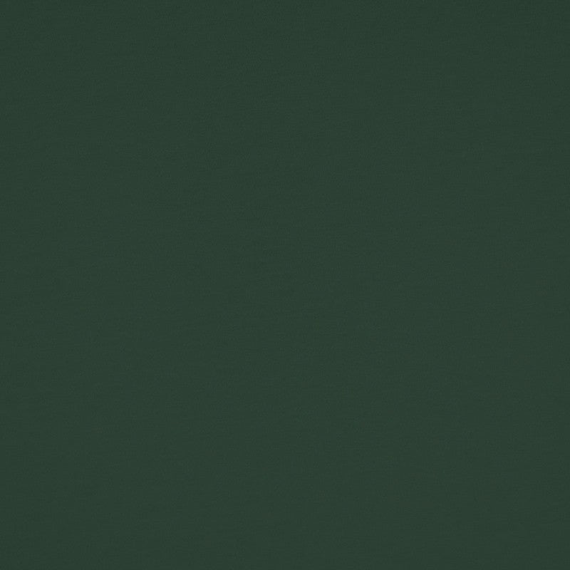Tissu Jersey Viscose Vert Bouteille - Ribes y Casals