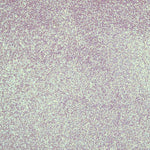 Tissu à Paillettes Nacre - Ribes y Casals