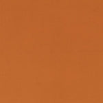 Coton Stretch Ocre - Ribes y Casals